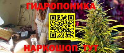 круглые Заводоуковск